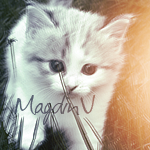 Аватарка пользователя MagdinV